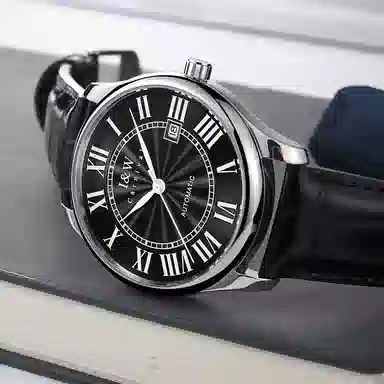 IW CARNIVAL HWGUOJI 665