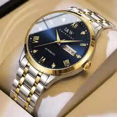 I&W Carnival IW8679GG