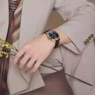 IW CARNIVAL HWGUOJI 528P