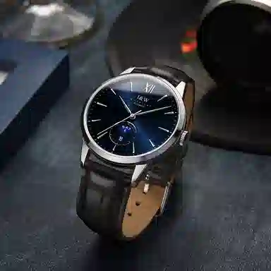 IW CARNIVAL HWGUOJI 527P