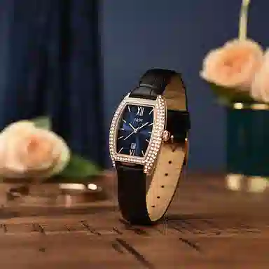 IW CARNIVAL HWGUOJI 537LP