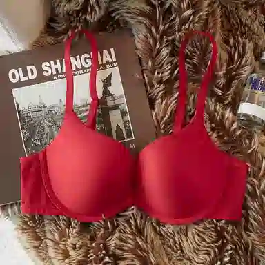 潞优野 无痕聚拢上托收副乳防下垂文胸 女款