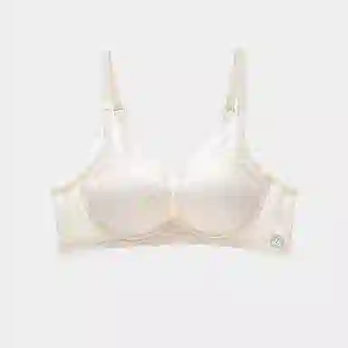 潞优野 小胸聚拢性感蕾丝无钢圈文胸 女款