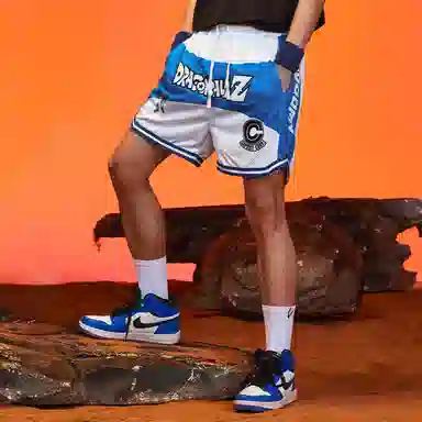 VEIDOORN x Z 2.0