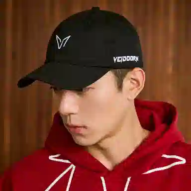 VEIDOORN Logo