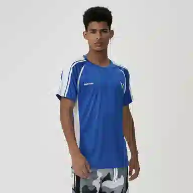 VEIDOORN T