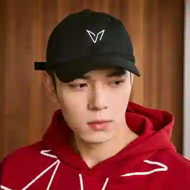 VEIDOORN Logo