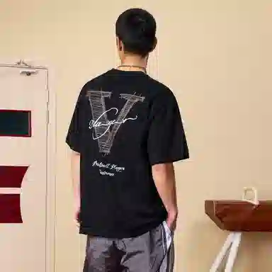 VEIDOORN V tT