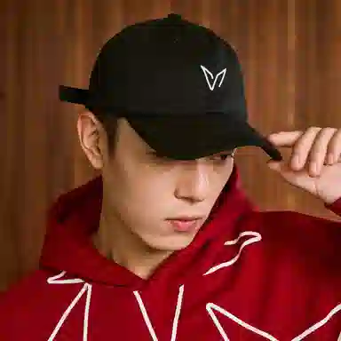 VEIDOORN Logo