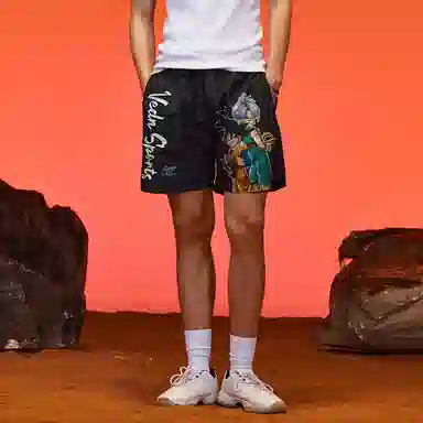 VEIDOORN x Z Logo