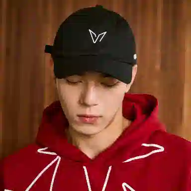 VEIDOORN Logo