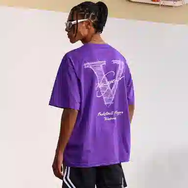 VEIDOORN V tT