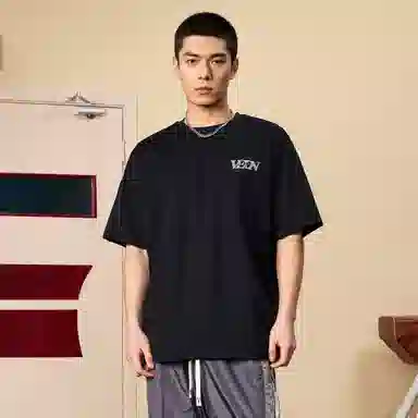 VEIDOORN V tT