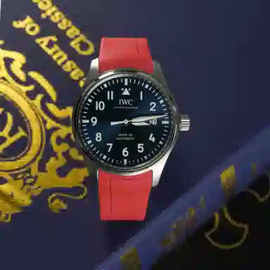 VAGENARI IWC