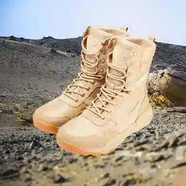 BEAR UNION Fierce battle