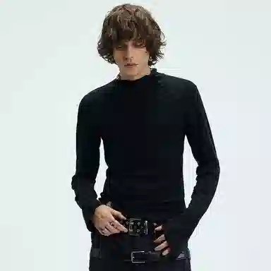 WHISTLEHUNTER T
