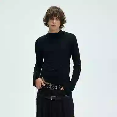 WHISTLEHUNTER T