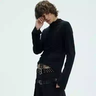 WHISTLEHUNTER T