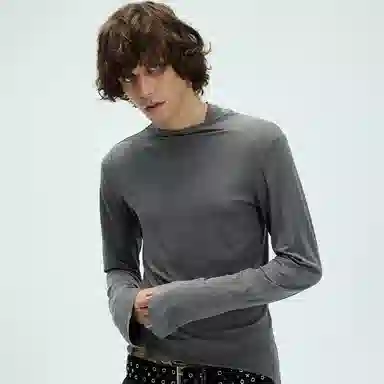 WHISTLEHUNTER T