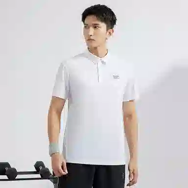 361 LogoPolo
