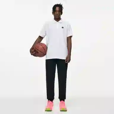 361 LogoPolo