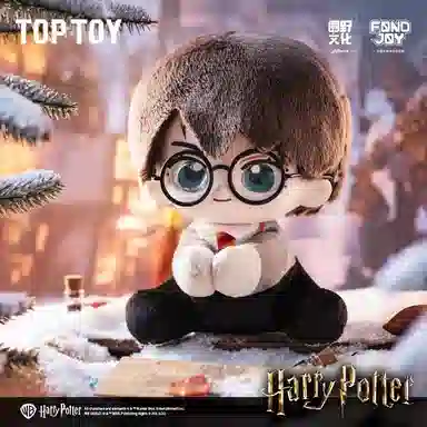 TOP TOY 6