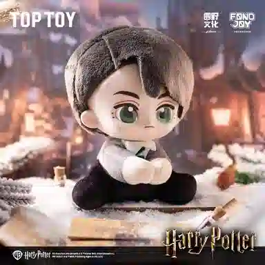 TOP TOY 6
