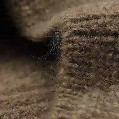 玖慕 秋冬季韩版加厚保暖日系画家帽复古蓓蕾帽子 羊毛 贝雷帽 女款