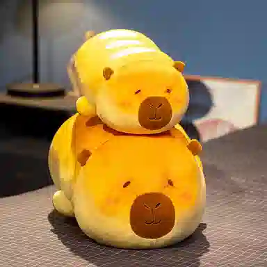 37cm52cm