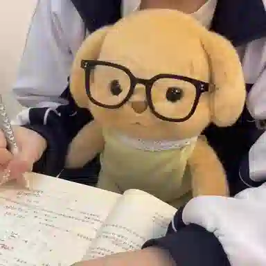 25cm35cm