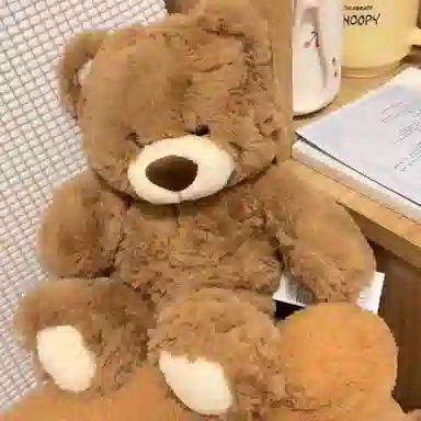 25cm