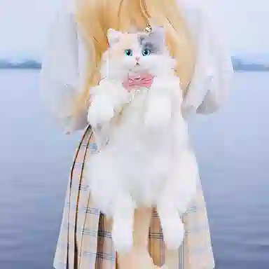50cm