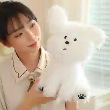 10cm20cm30cm38cm