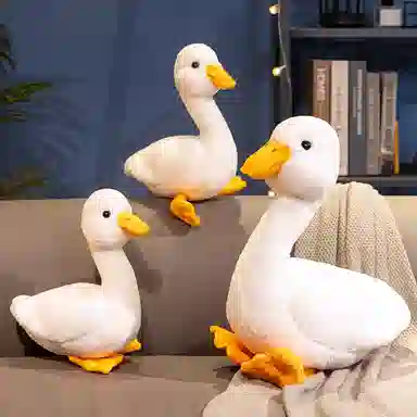 40cm56cm