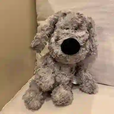 30cm