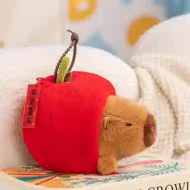 16cm