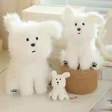 10cm20cm30cm38cm