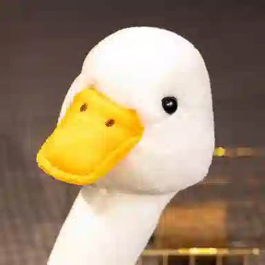40cm56cm