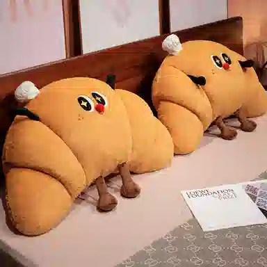 45cm50cm