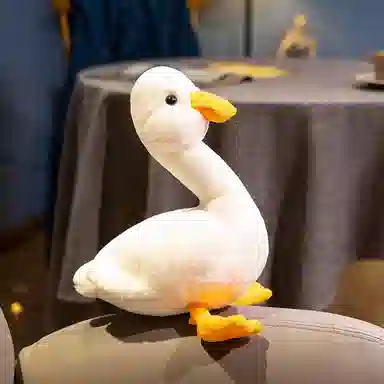 40cm56cm