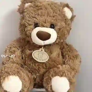 25cm