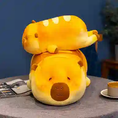 37cm52cm