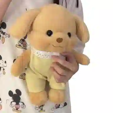 25cm35cm