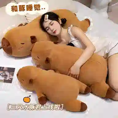 45cm85cm