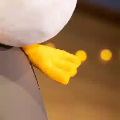 40cm56cm