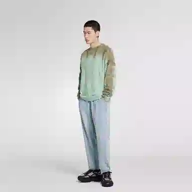 20239N8E10850