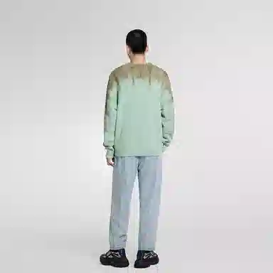 20239N8E10850