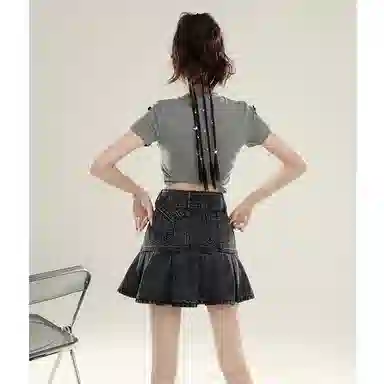 MUCCHIC insA