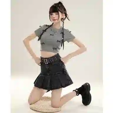 MUCCHIC insA
