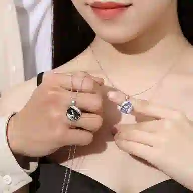 Sanpowa ins S925